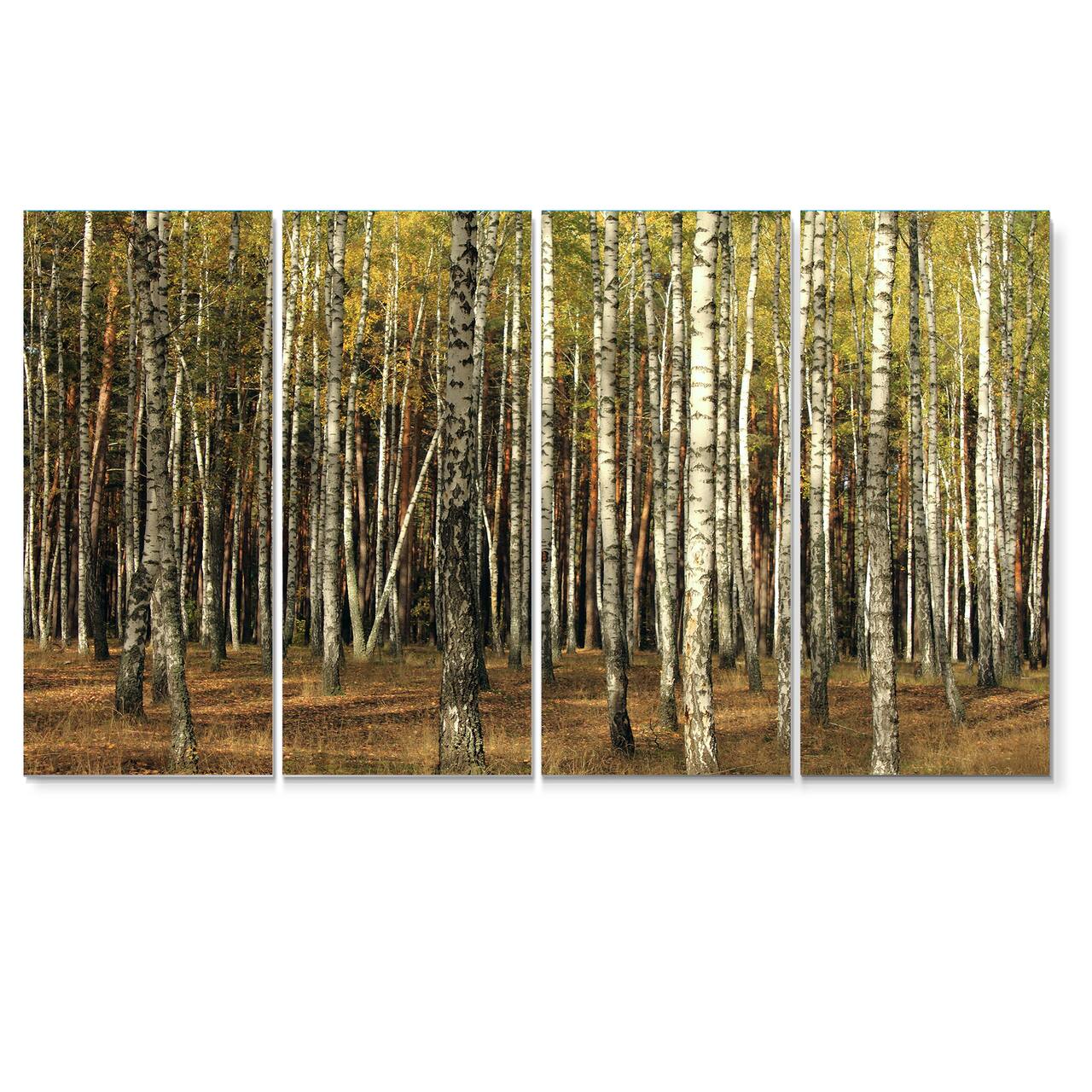 Designart - Green Fall Forest with Thick Trees - Forest Canvas Art Print